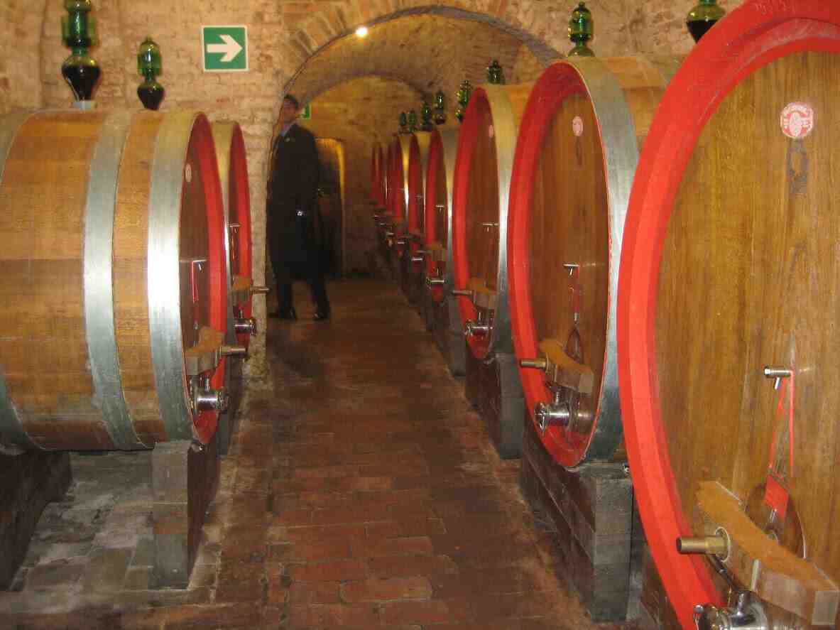 Wine Cellar at Bottega Divino in Montepulciano