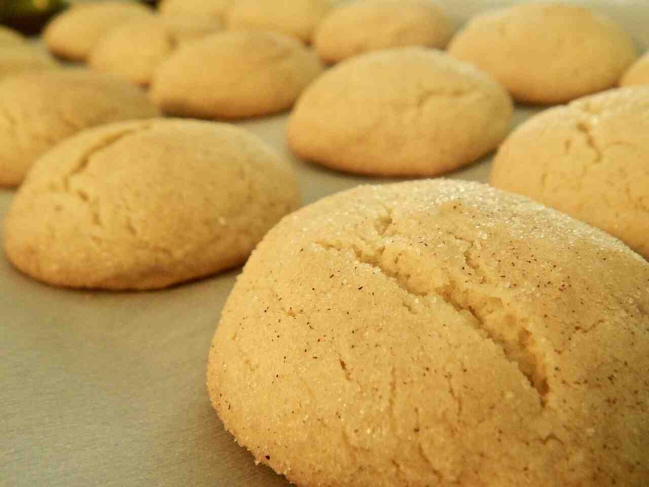 Snickerdoodle Without Cream Of Tartar