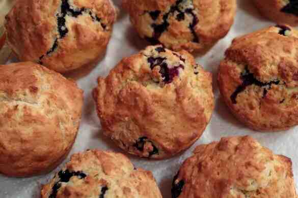 Salmon Quiche Mary Berry