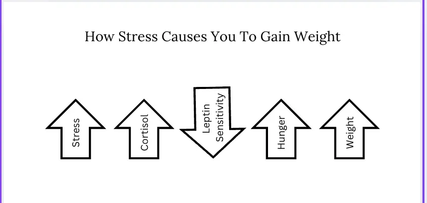 Infographic inspired by Mark Hyman's Book "Ultrametabolism - The Simple Plan for Automatic Weight Loss"